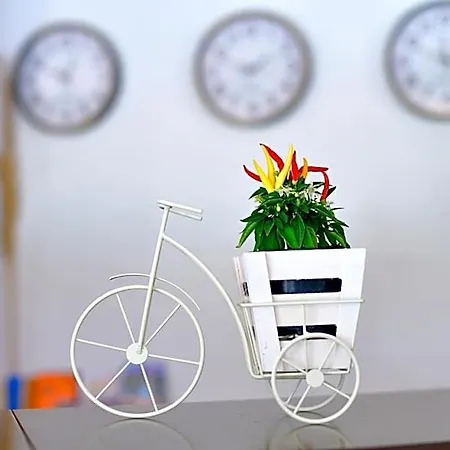Alekta - Free Parking Hotel Varna