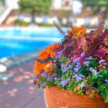 Alekta - Free Parking 3* Varna