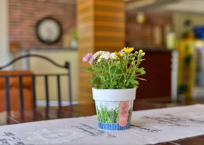 Alekta - Free Parking